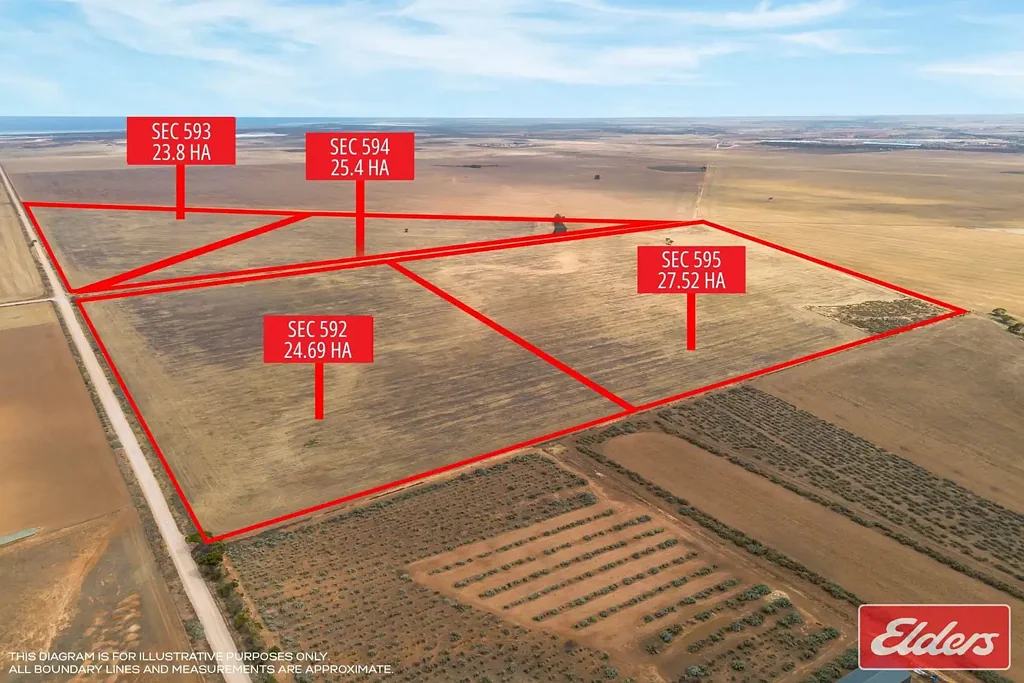 Lower Light 250 ACRES ON 4 TITLES
