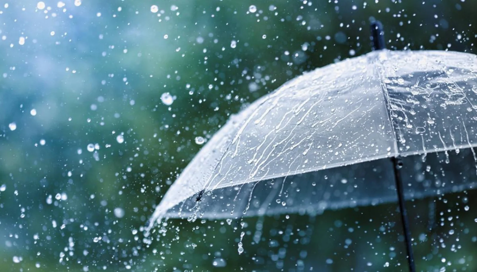 心塞！暴雨、强风预警又发布了，本周北岛多地将迎恶劣天气！
