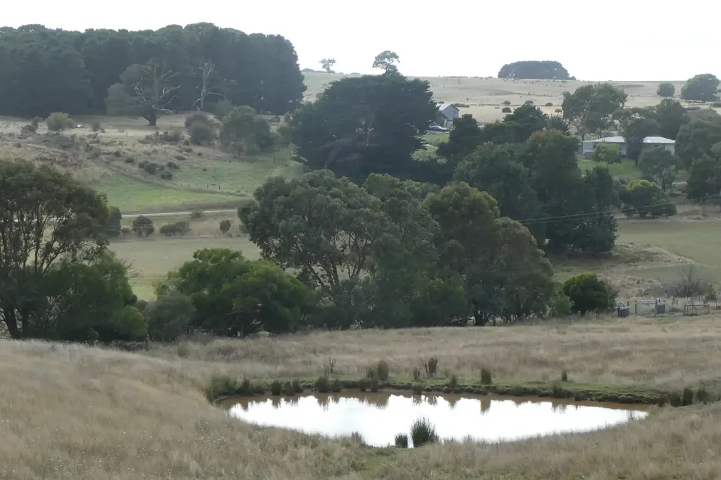 Carngham Elevated 8 HA (approx. 20 Acres) Homesite with current Planning Permit to build a residence (STCA), Extensive Views, Pasture, Dam, Fenced.