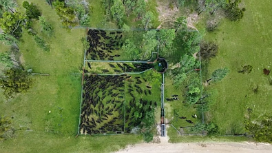 " Four Bar", Dalby, QLD 4405, 0房, 0浴, Lifestyle Property