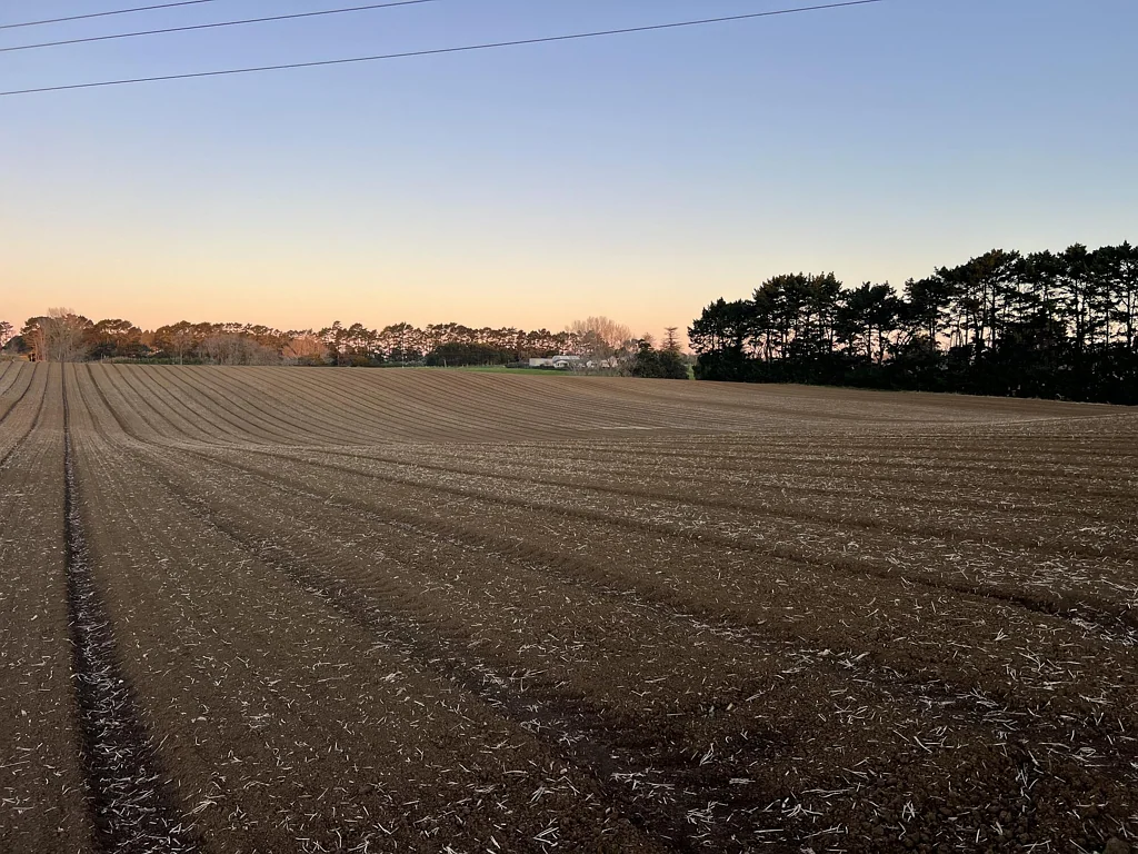 Glenbrook Versatile Horticultural Property with Irrigation