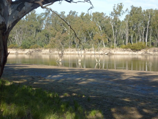 BUSHLANDS ON THE MURRAY HOLIDAY PARK UNIT 12 13 BUSHLANDS RD, TOCUMWAL NSW 2714, 0房, 0浴, Section