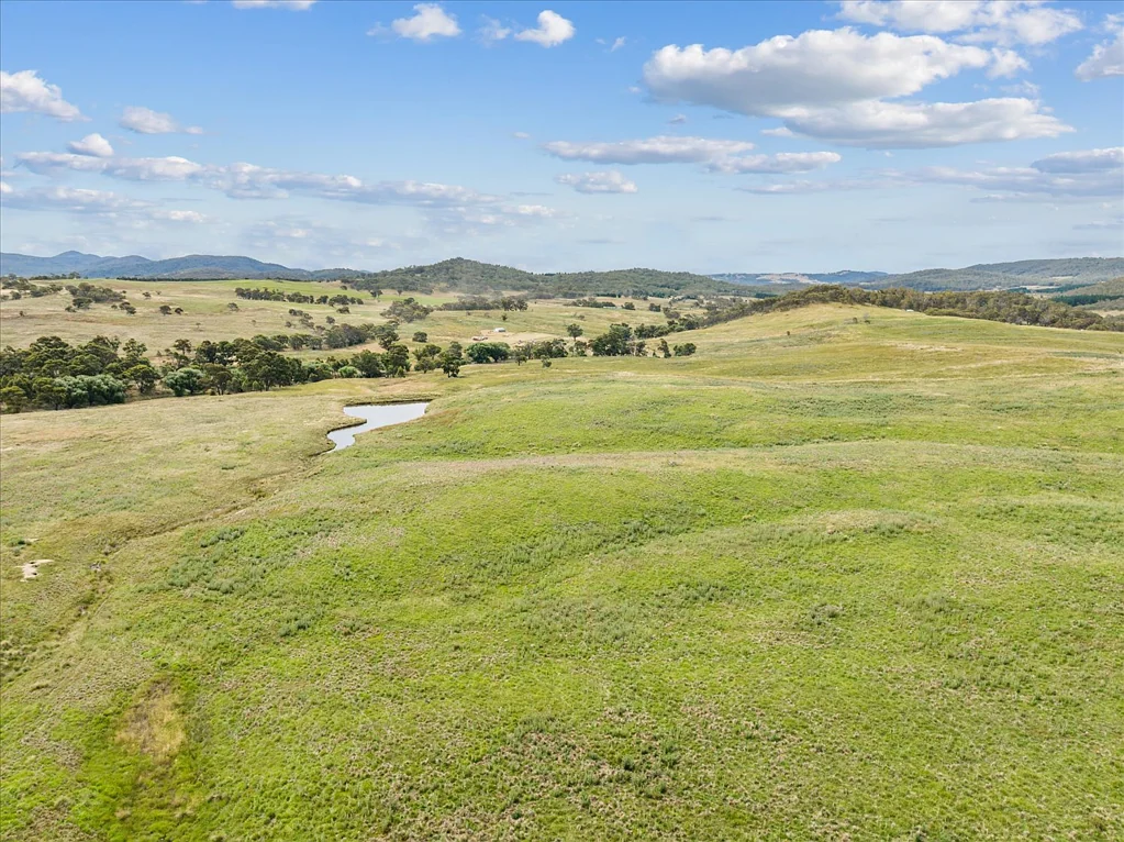 Captains Flat 234 acre grazing ~ Water ~ Mountain Views ~ Building Entitlement