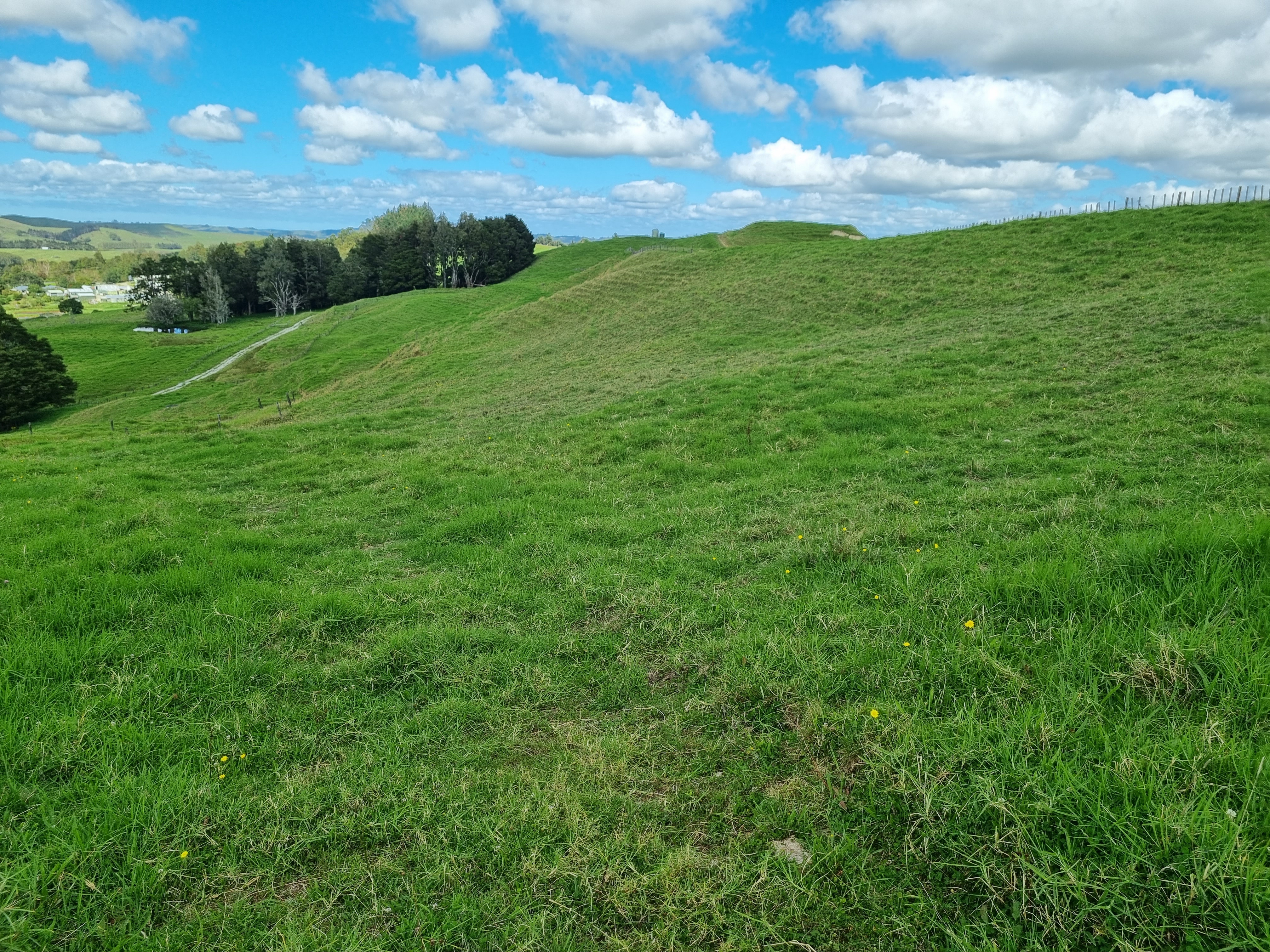 95 Ariels Lane, Paparoa, Kaipara, 0 ਕਮਰੇ, 0 ਬਾਥਰੂਮ