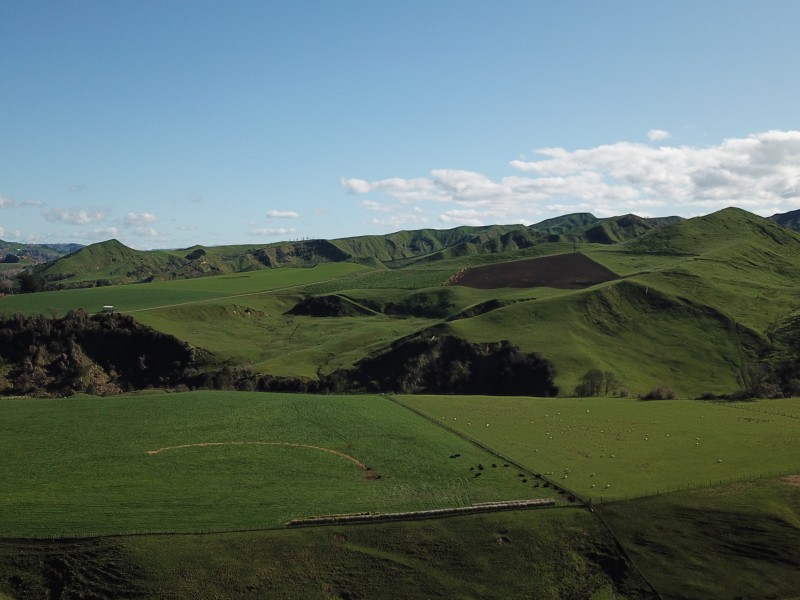 101 Mangapapa Road, Taihape and Surrounds, Rangitikei, 0 chambres, 0 salles de bain