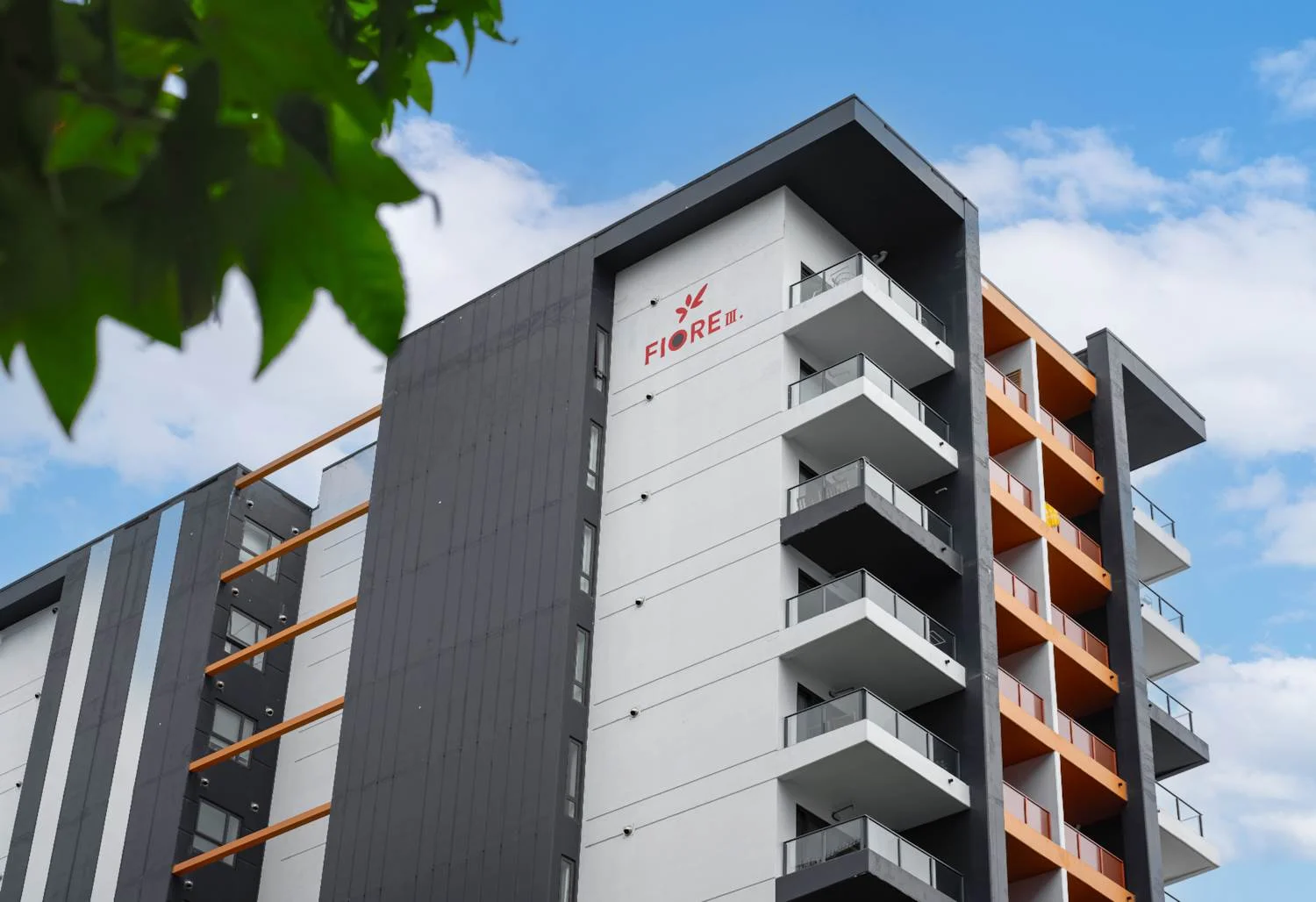 Auckland Central 1房  6% Return! Freehold!Highly Walkable !