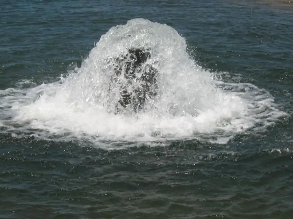 Moree Temporary Lower Gwydir Bore Water