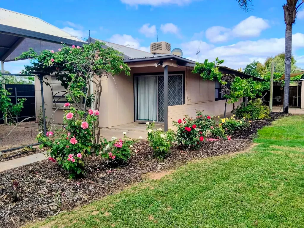 37 Ninth Street, Renmark, SA 5341, 3 slaapkamers, 1 badkamers, House