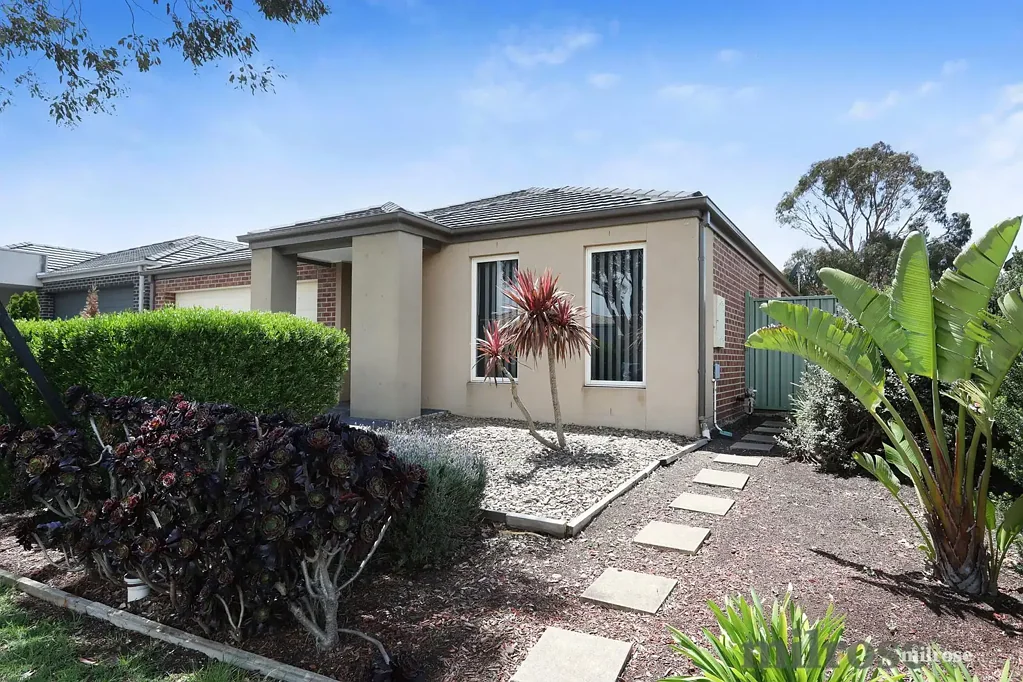 Spectacular spacious home!