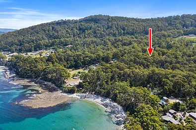 Eaglehawk Neck 2 Slaapkamer Rainforest Retreat with Creek and Cottage, Steps from Pirates Bay