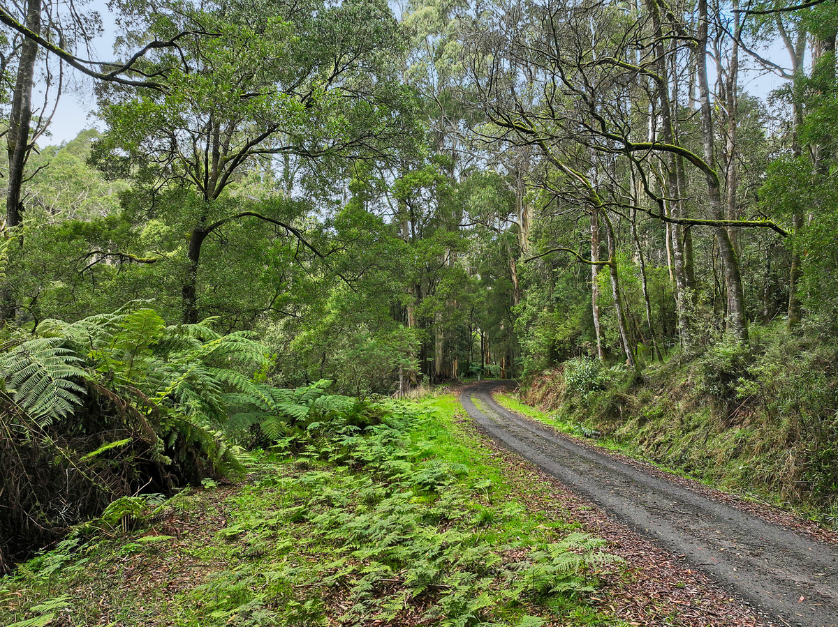 30 CARLISLE VALLEY RD, CARLISLE RIVER VIC 3239, 0 phòng ngủ, 0 phòng tắm, Lifestyle Property