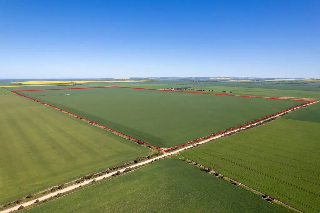 Butler  "ROSS'S" - 222 Hectares of quality cropping country