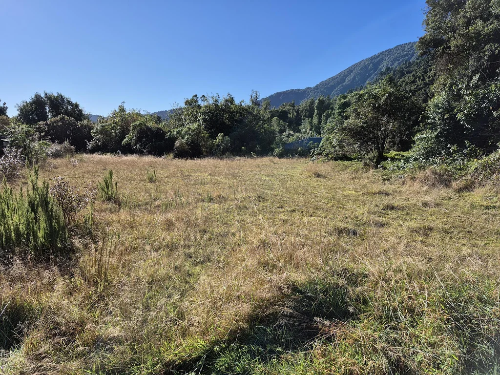 Franz Josef Glacier Secure a Blank Canvas on the West Coast