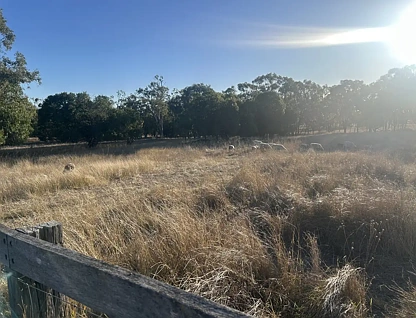39 Kurrajong Drive, Dalby, QLD 4405, 0房, 0浴, Section