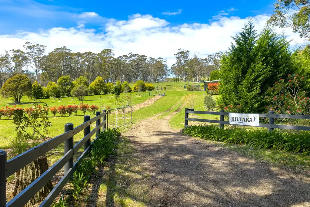 61 Wallaby Hill Road, Robertson, NSW 2577