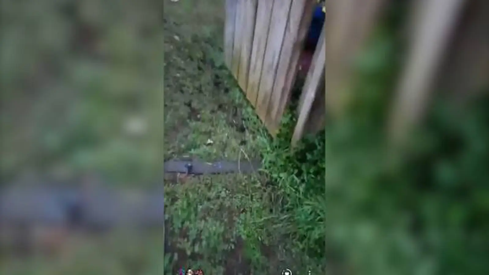 气愤！就在基督城事件三天后，奥克兰这家人遭到这种对待……