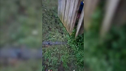 气愤！就在基督城事件三天后，奥克兰这家人遭到这种对待……