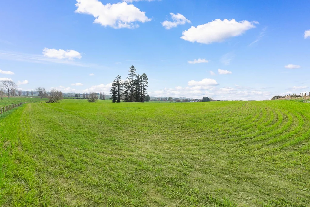 Waharoa Exceptional farming and lifestyle opportunity