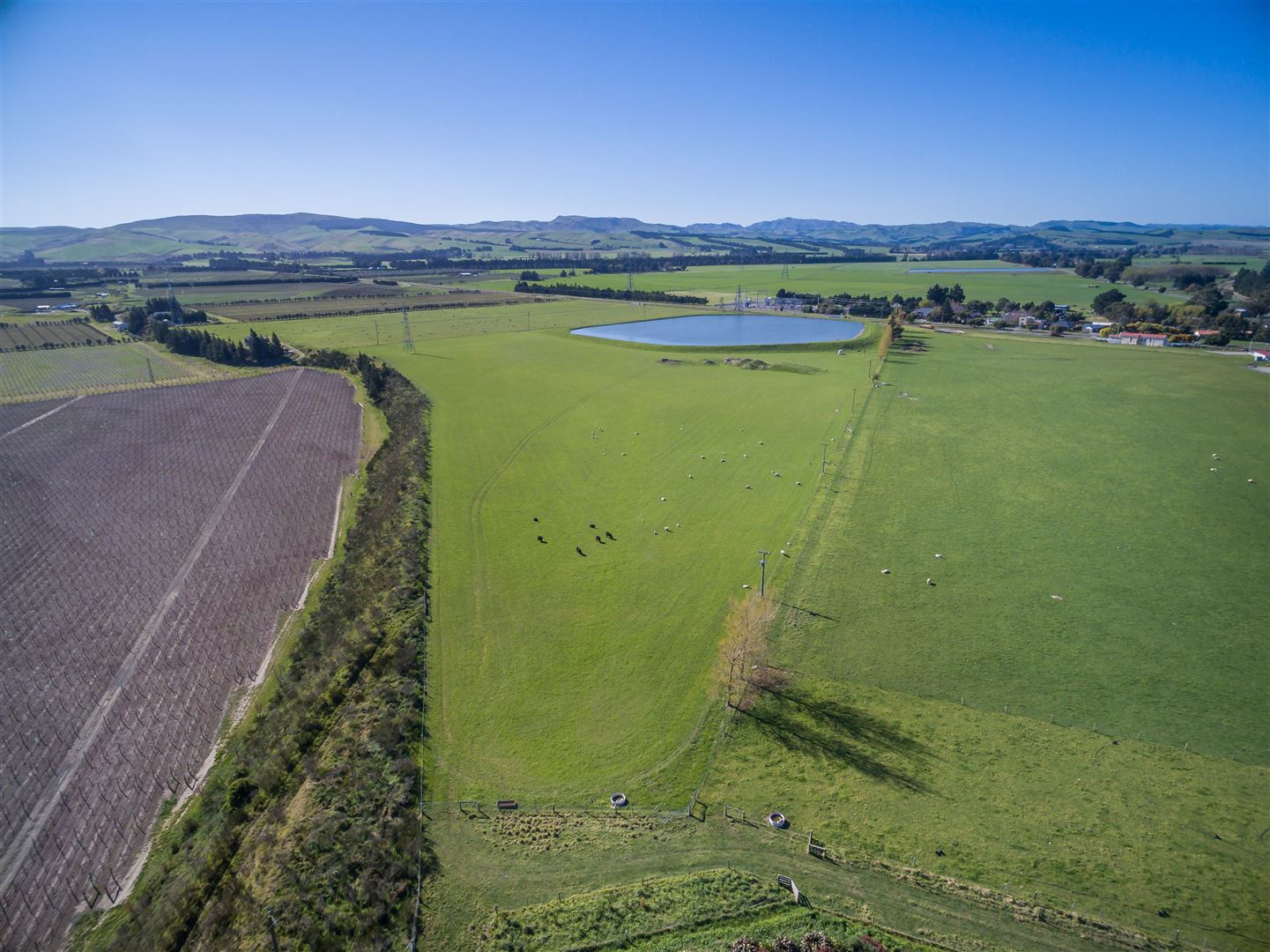 55 Glenmark Drive, Waipara, Hurunui, 4 Bedrooms, 1 Bathrooms