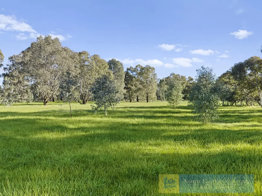 Violet Town  2 Acres - Bitumen Frontage - Established Trees - Short Drive to Shopping