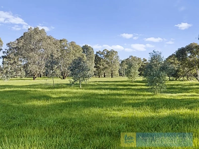 Violet Town 2 Acres - Bitumen Frontage - Established Trees - Short Drive to Shopping
