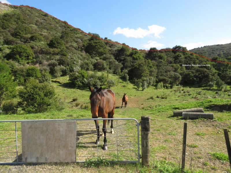 2043 The 309 Road, Kaimarama, Coromandel, 0 Schlafzimmer, 0 Badezimmer