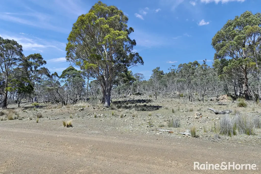 Stonehenge  Back to Nature - Native Bushland Teeming With Wildlife