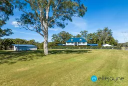 231 FREEMANS DR, Morisset