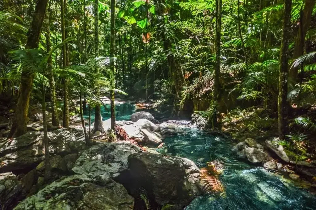 Jubilee Heights  5,868 m²-Approved, Build-Ready Acreage BEST BLOCK & PRIVATE WATERFALL – Minutes to CBD
- $395,000.