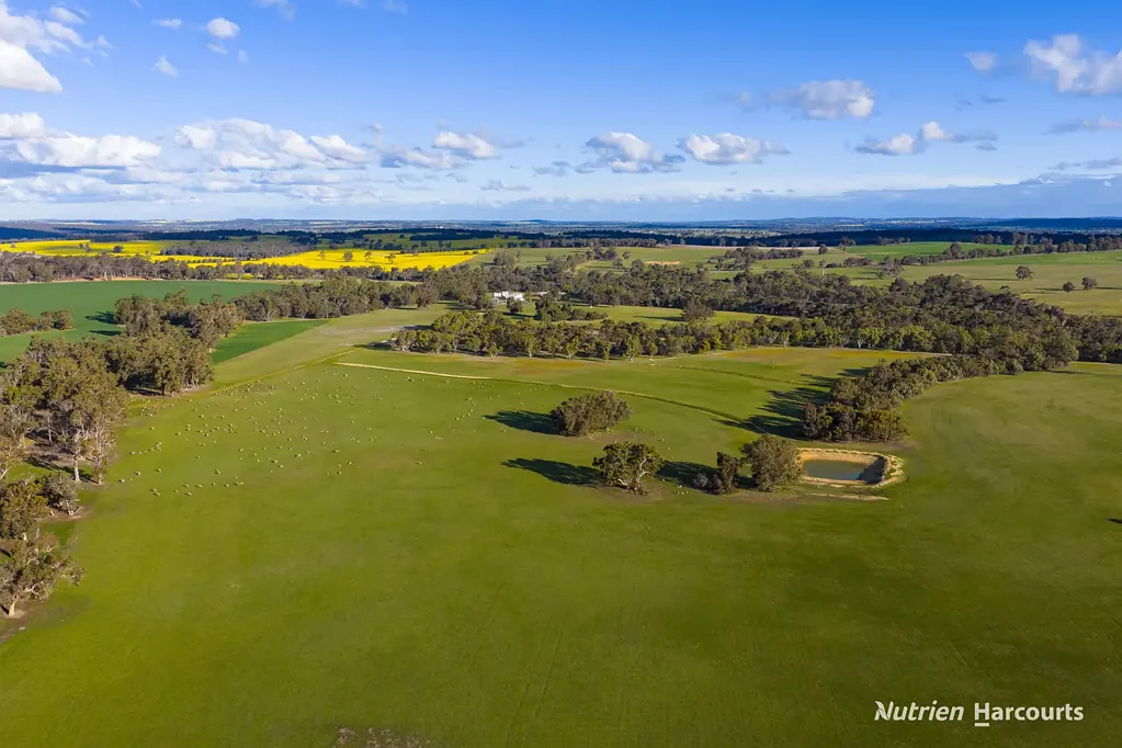 Williams ROUKEN GLEN - PREMIUM MIXED FARMING OPPORTUNITY