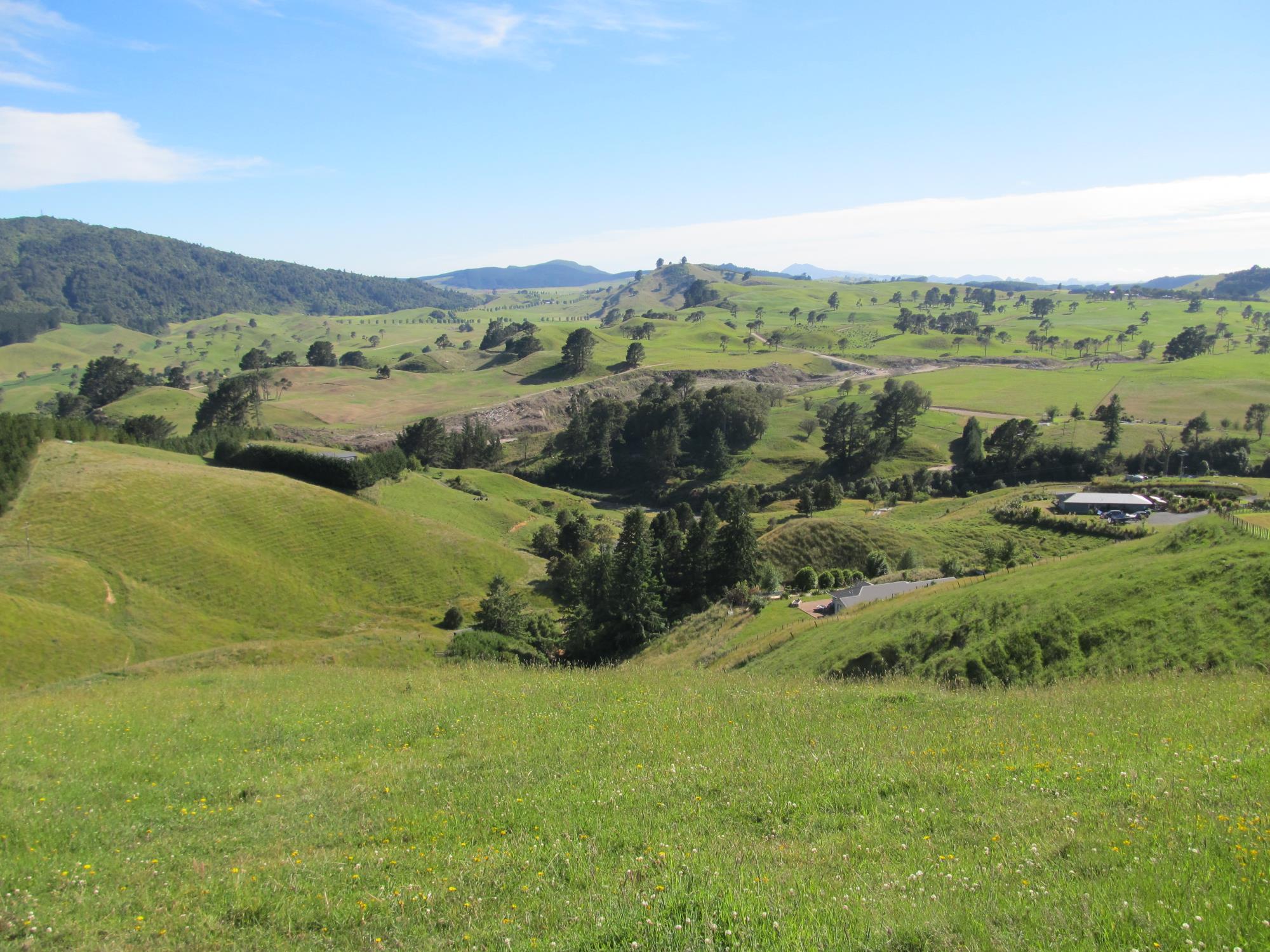 215 Forest Road, Oruanui, Taupo, 2 habitaciones, 0 baños