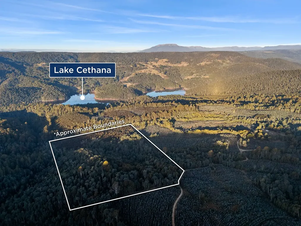 Moina Rare Opportunity - High Country Block