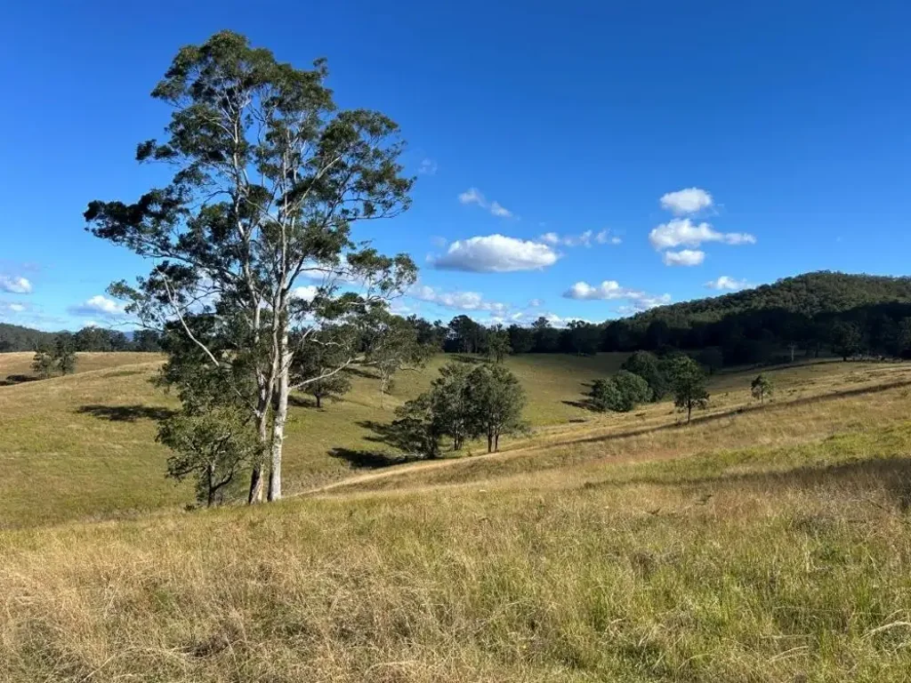 Millbank Peace and privacy in the upper Macleay