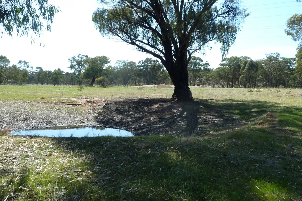 Wedderburn 1 ACRE PROPERTY