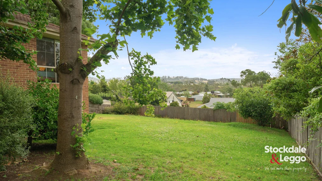 9 Bourke Street, Mirboo North, VIC 3871