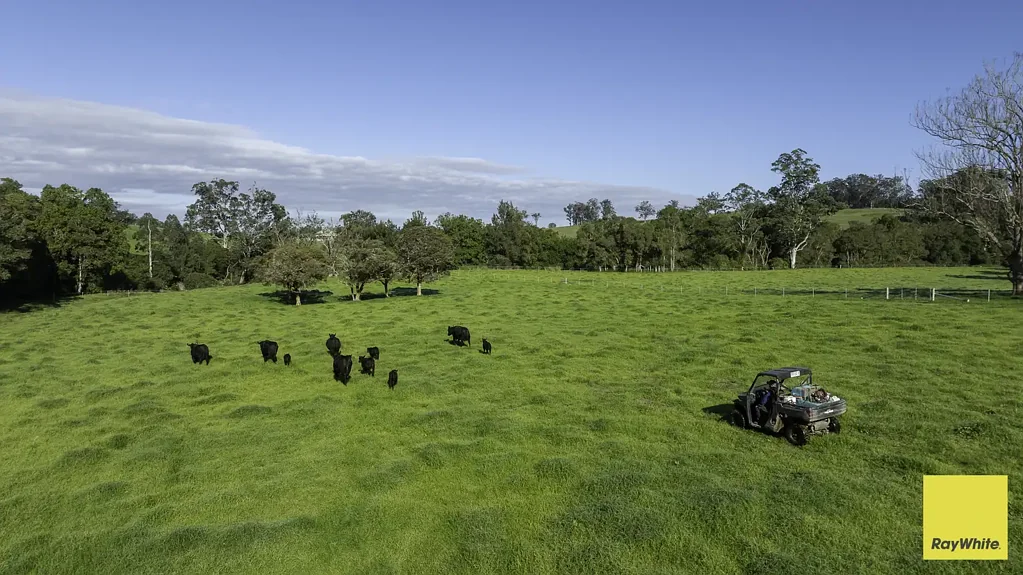 Wards River Riverfront Grazing Meets Picture Perfect Production At Scale