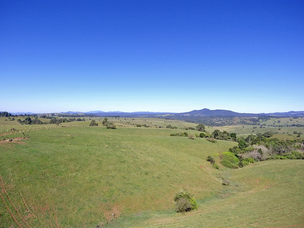 Millaa Millaa ROLLING GREEN HILLS