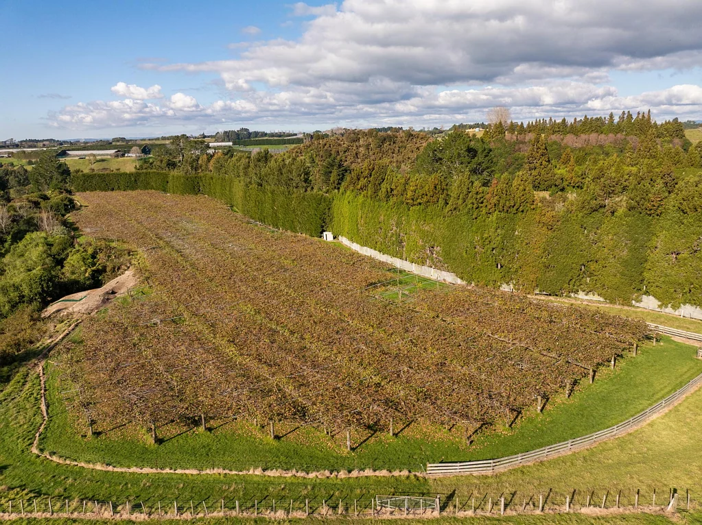 Paengaroa Proven Hayward production prime Paengaroa location