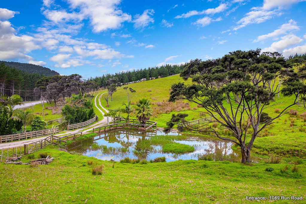Wellsford YOUR 94 ACRE FARMING PARADISE!
