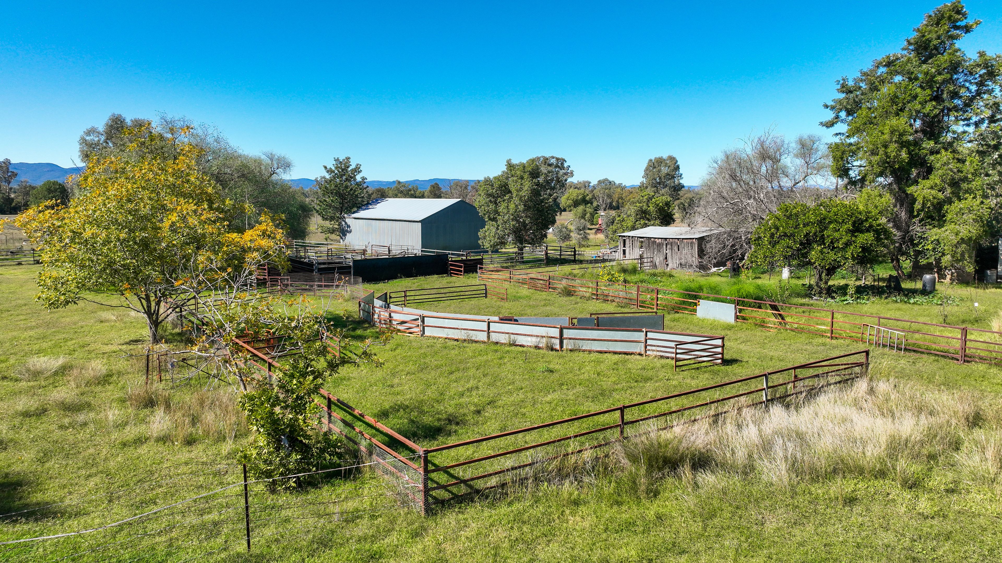 WANDO 340 BLACK MOUNTAIN CREEK RD, MAULES CREEK NSW 2382, 0房, 0浴, Lifestyle Property