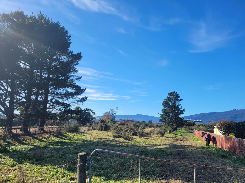 Westport Big section, Big Opportunity