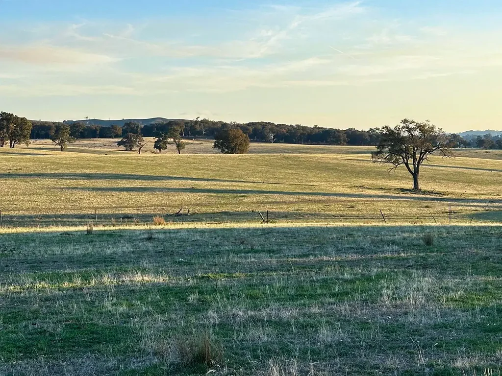 Wagga Wagga NORTH WANDOO – Prime Grazing Opportunity