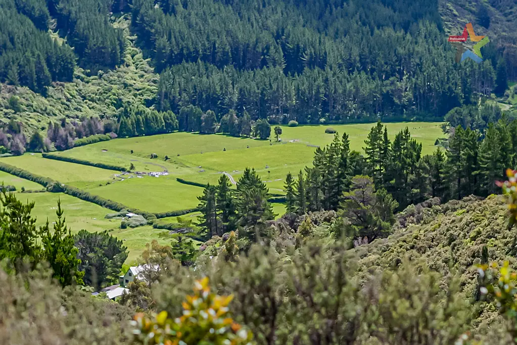 Akatarawa  OVER 20HA OF PRIVATE BARE LAND