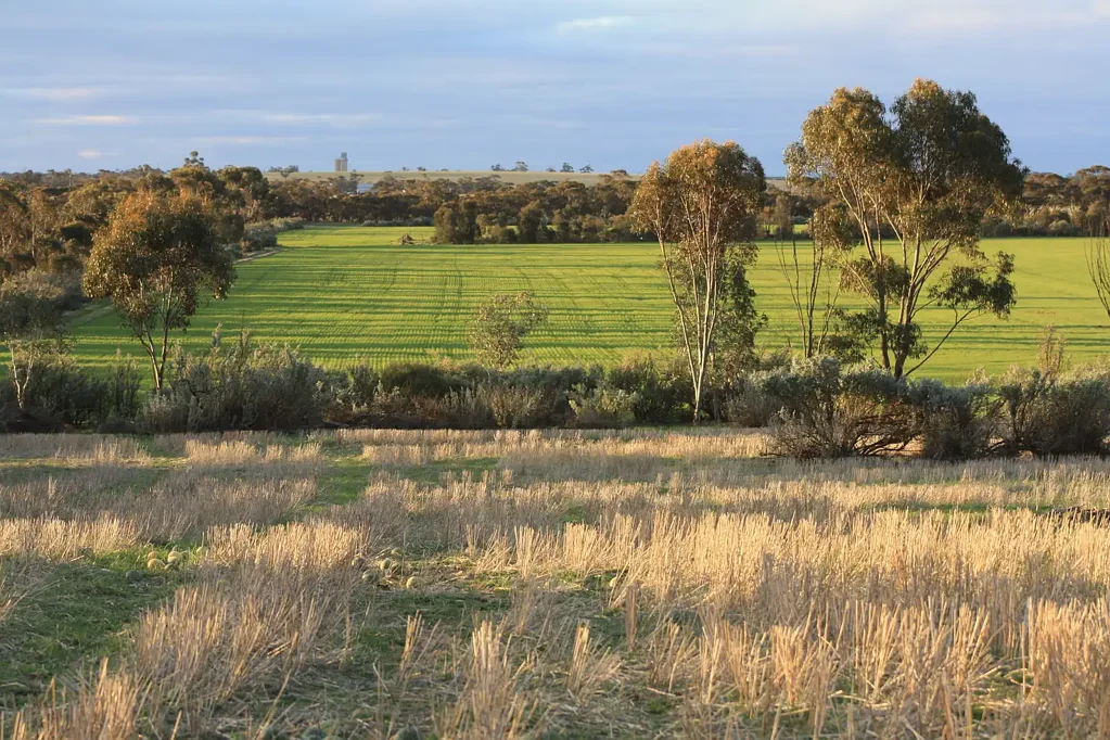 Carina  Organic Mixed Farm