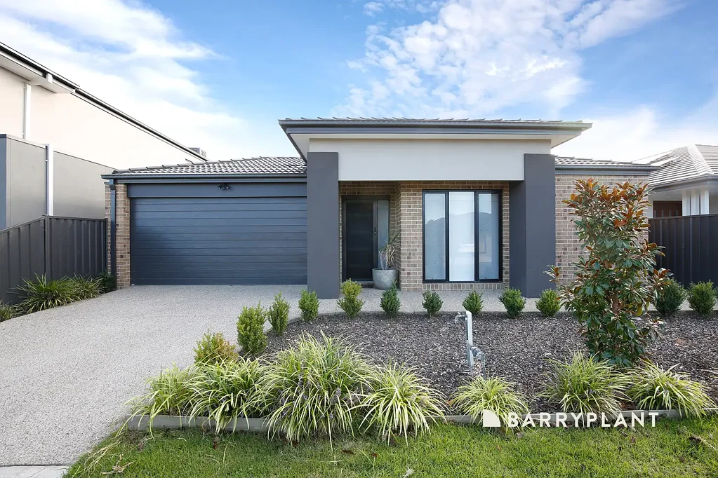 * Modern and Stylish *