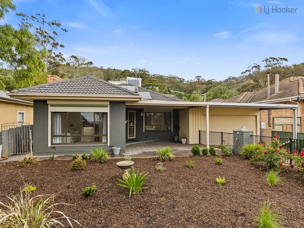 19 Beagle Terrace, Lynton, SA 5062