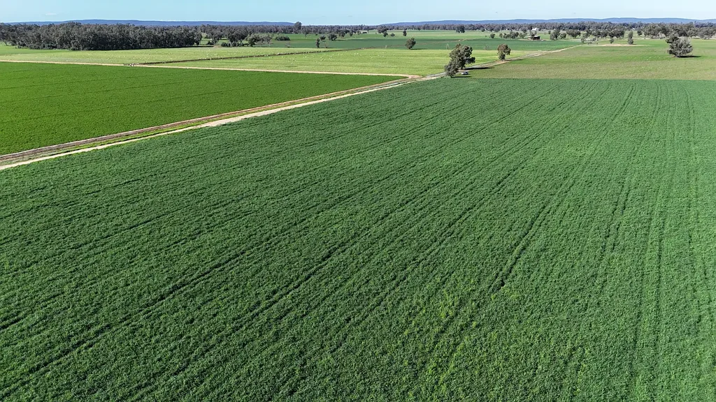 Forbes Superior Almost Flood Free River flats & Irrigation Owned by the same family for 120 Years