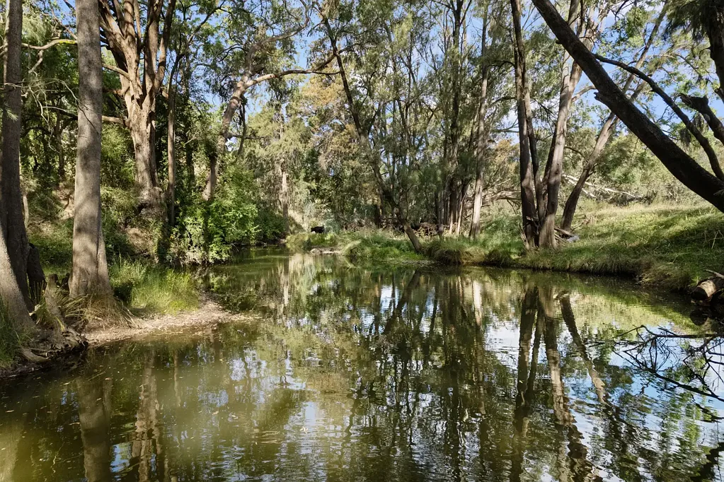 Mudgee  WHERE LAWSON CREEK MEETS MUDGEE'S DOORSTEP