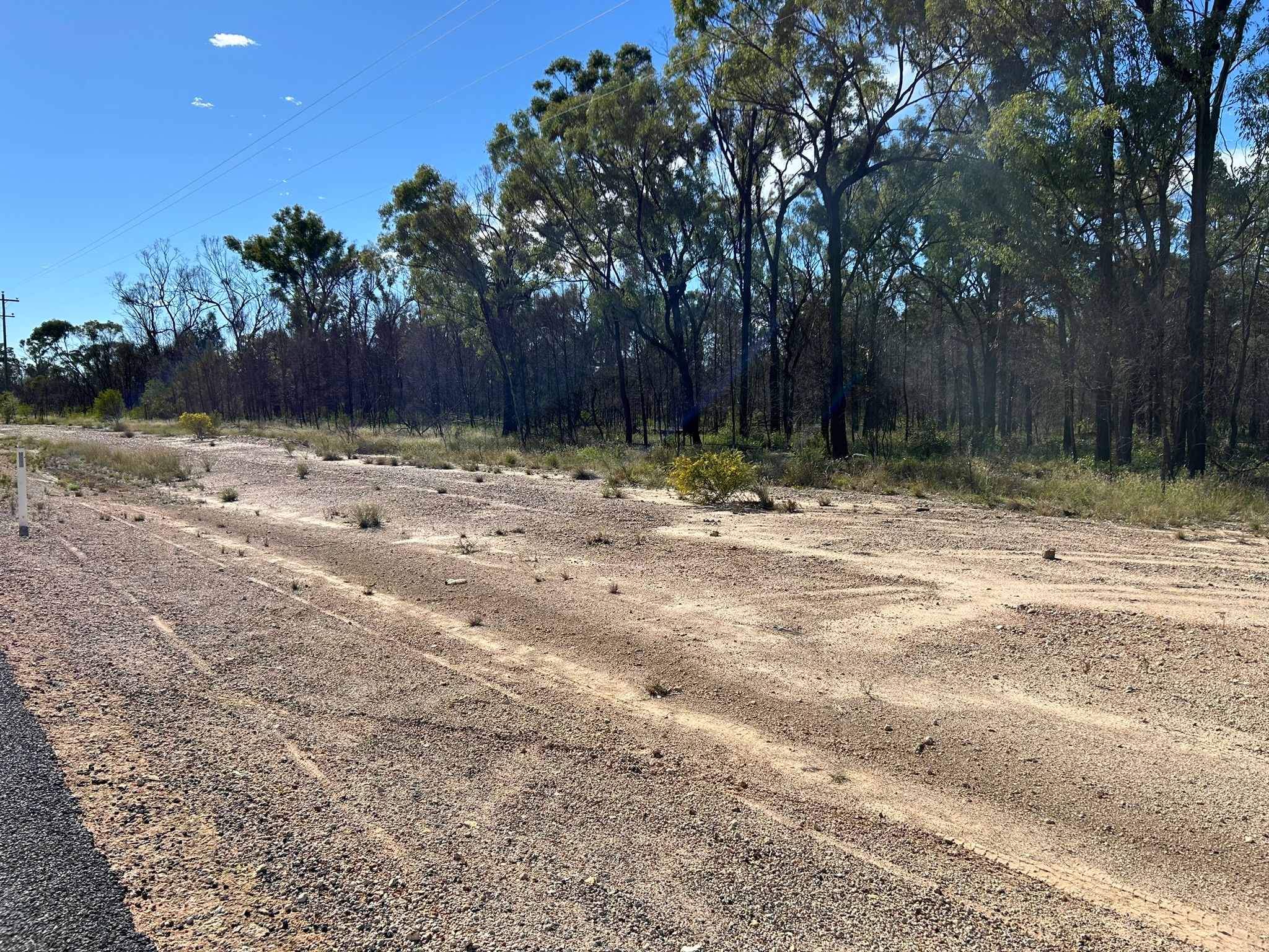 8 CHINCHILLA - TARA RD, TARA QLD 4421, 0 phòng ngủ, 0 phòng tắm, Section