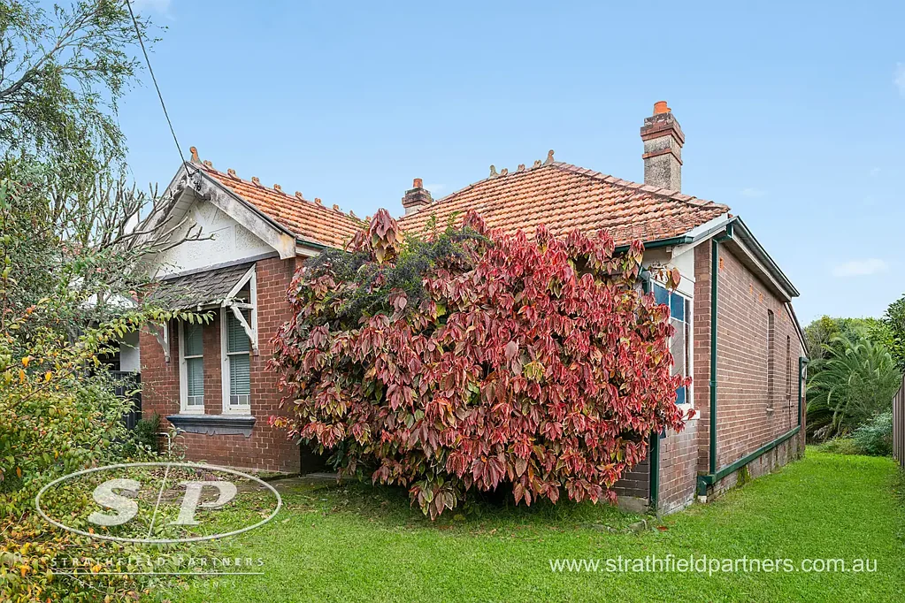 21 Angelo Street, Burwood, NSW 2134